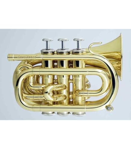 CAROL BRASS キャロルブラス LGEND HEAVY B♭トランペット Amazon.co.jp: キャロル・ブラス Carol Brass トランペット